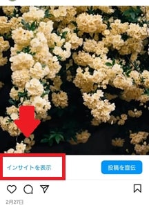 投稿画面